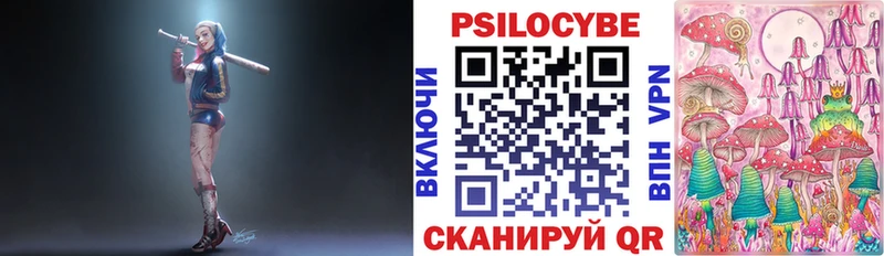 Псилоцибиновые грибы Psilocybe  дарнет шоп  Тейково 