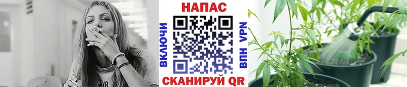 Каннабис гибрид  Тейково 